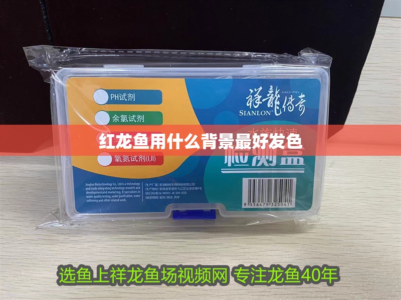 紅龍魚用什么背景最好發色