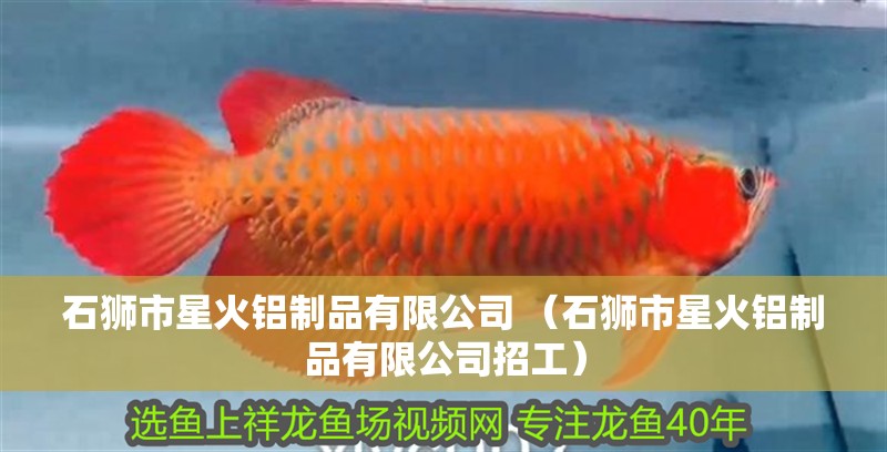 石獅市星火鋁制品有限公司 （石獅市星火鋁制品有限公司招工）