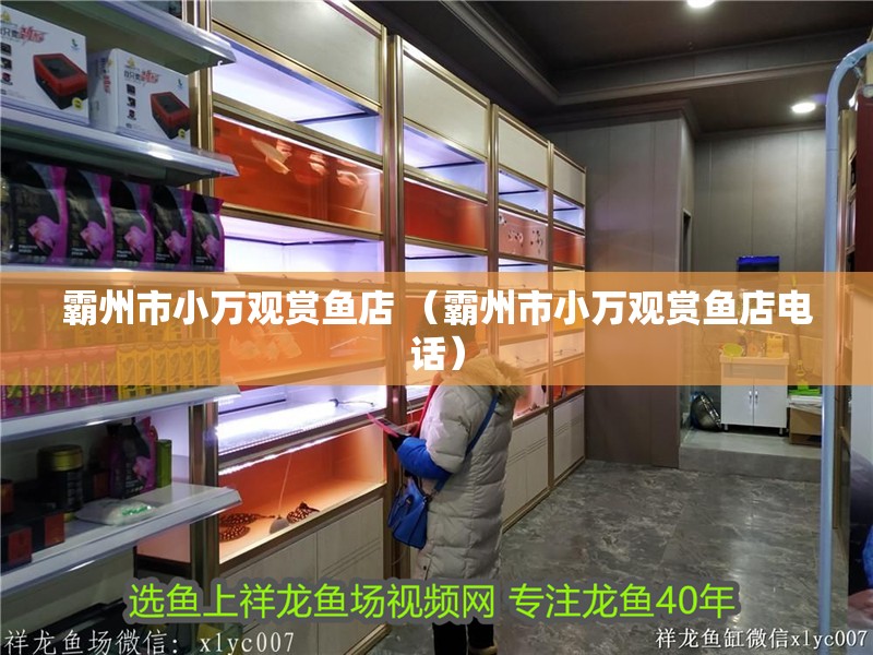 霸州市小萬觀賞魚店 （霸州市小萬觀賞魚店電話）