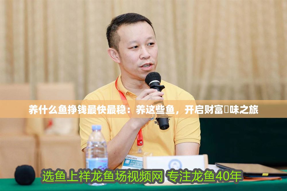養什么魚掙錢最快最穩：養這些魚，開啟財富鲹味之旅
