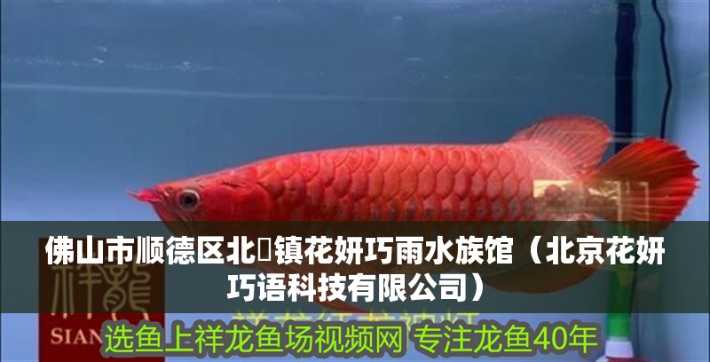 佛山市順德區北滘鎮花妍巧雨水族館（北京花妍巧語科技有限公司）