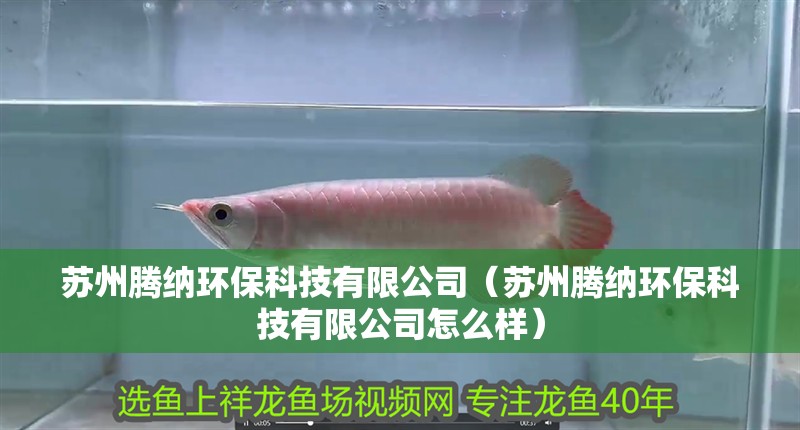蘇州騰納環(huán)保科技有限公司（蘇州騰納環(huán)保科技有限公司怎么樣）