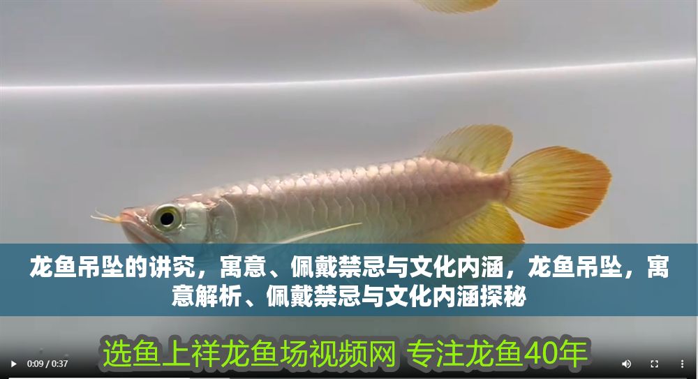 龍魚吊墜的講究，寓意、佩戴禁忌與文化內涵，龍魚吊墜，寓意解析、佩戴禁忌與文化內涵探秘