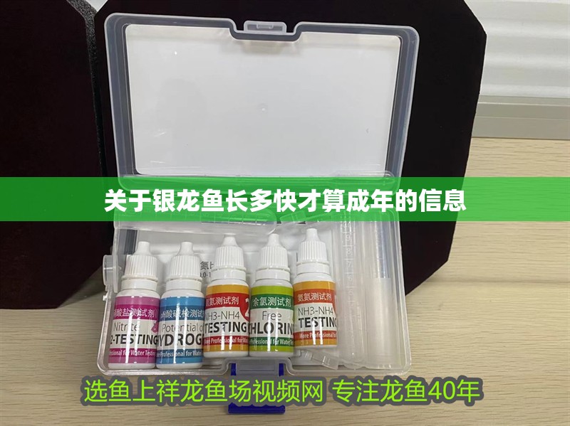 關于銀龍魚長多快才算成年的信息