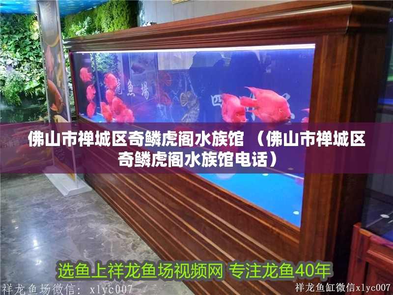 佛山市禪城區(qū)奇鱗虎閣水族館 （佛山市禪城區(qū)奇鱗虎閣水族館電話） 佛山市禪城區(qū)奇鱗虎閣水族館 （佛山市禪城區(qū)奇鱗虎閣水族館電話） 全國(guó)水族館企業(yè)名錄