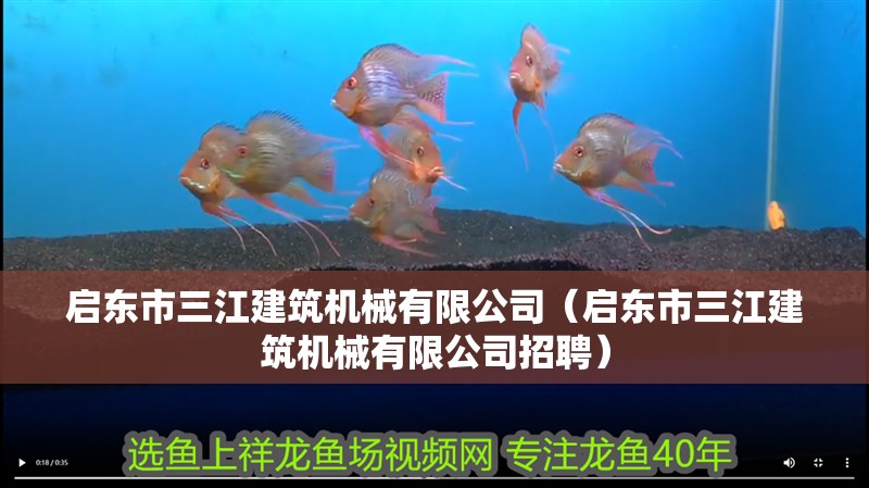 啟東市三江建筑機械有限公司（啟東市三江建筑機械有限公司招聘）