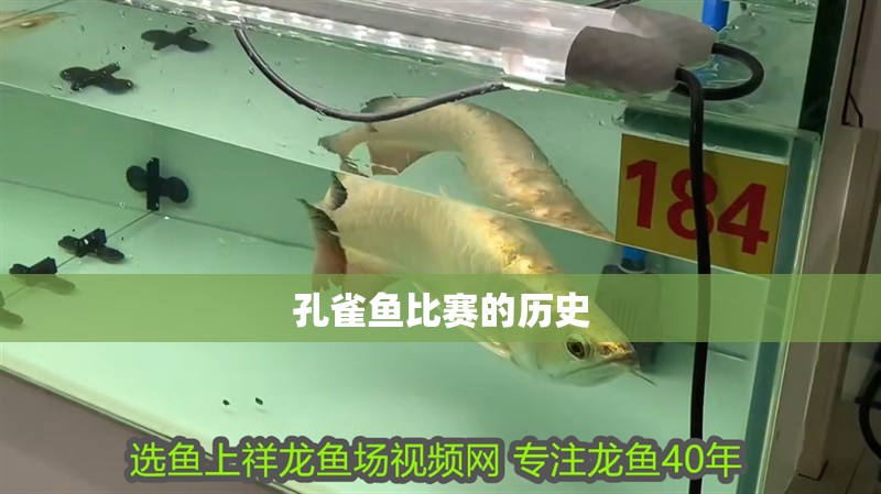 孔雀魚比賽的歷史