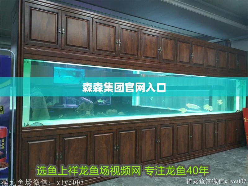 森森集團官網入口