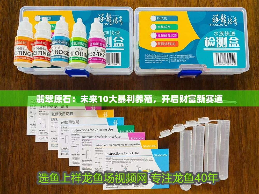 翡翠原石：未來10大暴利養殖，開啟財富新賽道 翡翠原石：未來10大暴利養殖，開啟財富新賽道 龍魚百科 第1張