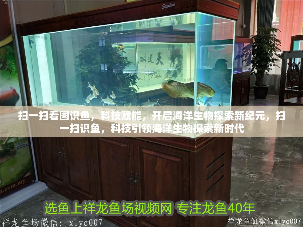 掃一掃看圖識魚，科技賦能，開啟海洋生物探索新紀元，掃一掃識魚，科技引領海洋生物探索新時代