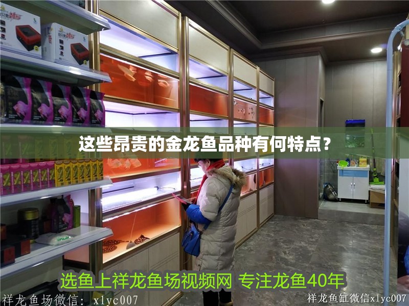 這些昂貴的金龍魚(yú)品種有何特點(diǎn)？