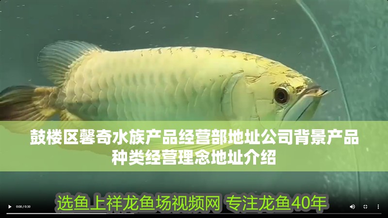 鼓樓區(qū)馨奇水族產(chǎn)品經(jīng)營(yíng)部地址公司背景產(chǎn)品種類經(jīng)營(yíng)理念地址介紹