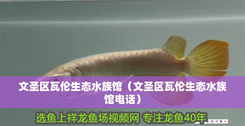 文圣區瓦倫生態水族館（文圣區瓦倫生態水族館電話）