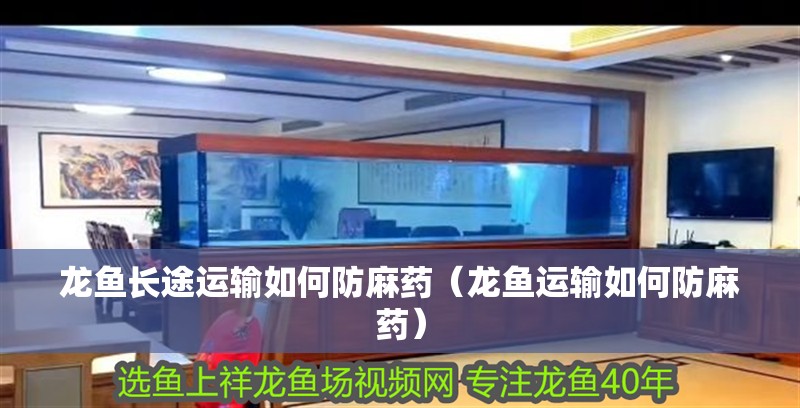 龍魚長途運輸如何防麻藥（龍魚運輸如何防麻藥）