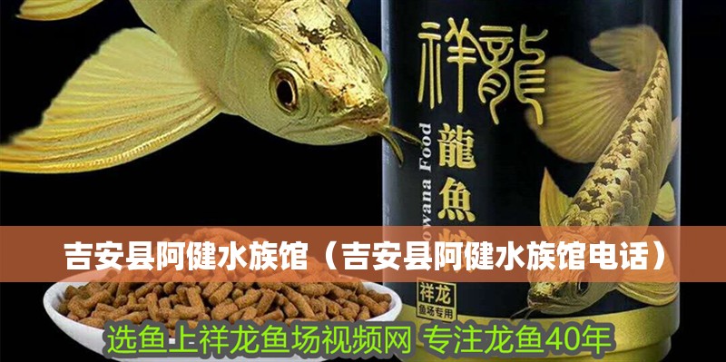 吉安縣阿健水族館（吉安縣阿健水族館電話）