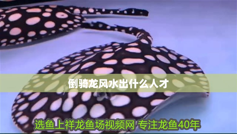 倒騎龍風(fēng)水出什么人才