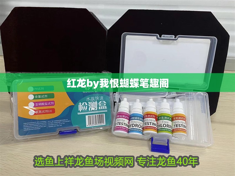 紅龍by我恨蝴蝶筆趣閣