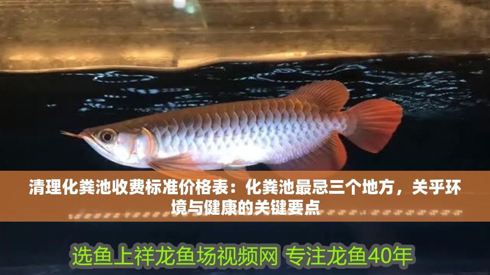 清理化糞池收費標準價格表：化糞池最忌三個地方，關乎環(huán)境與健康的關鍵要點