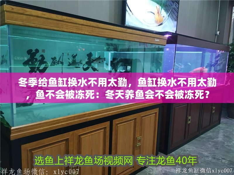 冬季給魚缸換水不用太勤，魚缸換水不用太勤，魚不會被凍死：冬天養(yǎng)魚會不會被凍死？