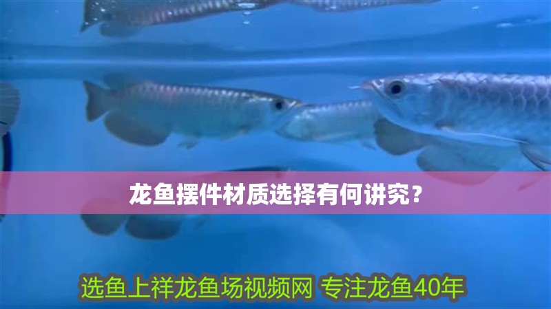 龍魚擺件材質選擇有何講究？