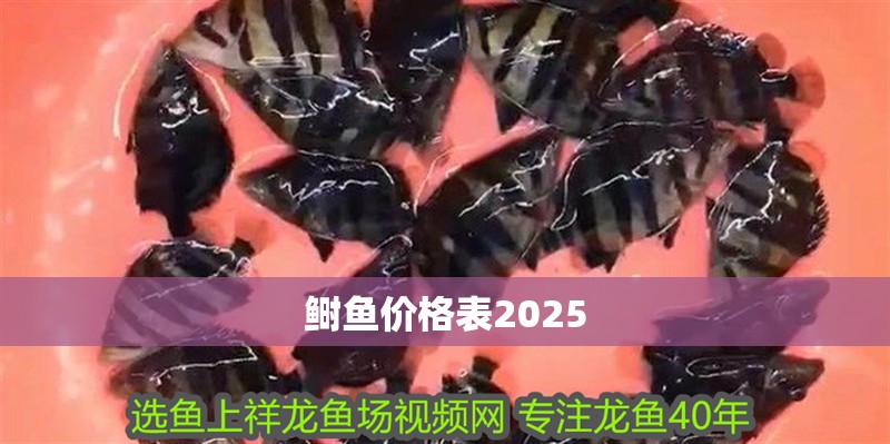 紅龍魚用黃燈烤有用嗎 鰣魚價格表2025 龍魚論壇 鰣魚價格表2025 鰣魚價格表2025 龍魚論壇