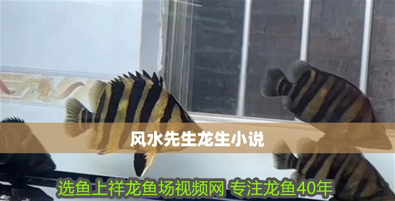 風水先生龍生小說 風水先生龍生小說 龍魚論壇