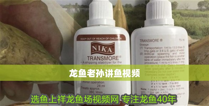 龍魚老孫講魚視頻
