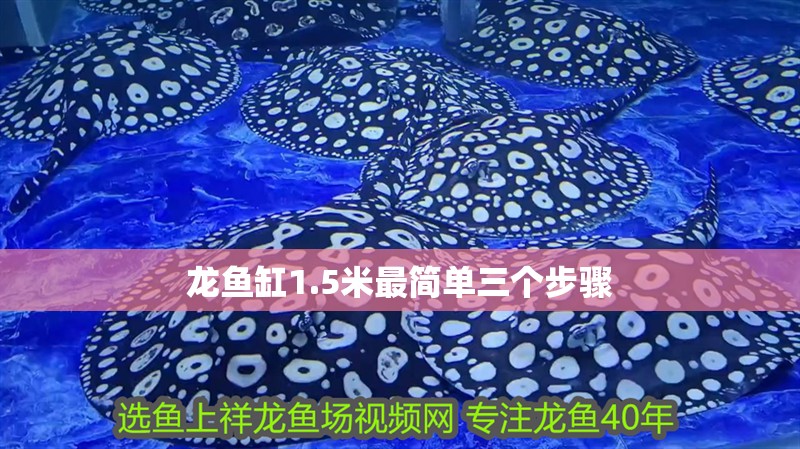 龍魚(yú)缸1.5米最簡(jiǎn)單三個(gè)步驟