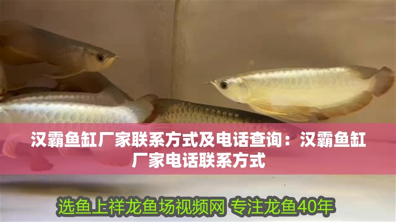 漢霸魚缸廠家聯系方式及電話查詢：漢霸魚缸廠家電話聯系方式