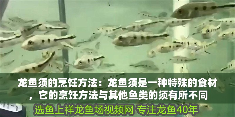 魚缸過濾器選購指南:自制魚缸過濾器魚缸上置過濾器對于養(yǎng)魚愛好者的必備知識 龍魚須的烹飪方法:龍魚須是一種特殊的食材,它的烹飪方法與其他魚類的須有所不同 龍魚百科 龍魚須的烹飪方法:龍魚須是一種特殊的食材,它的烹飪方法與其他魚類的須有所不同 龍魚須的烹飪方法:龍魚須是一種特殊的食材,它的烹飪方法與其他魚類的須有所不同 龍魚百科