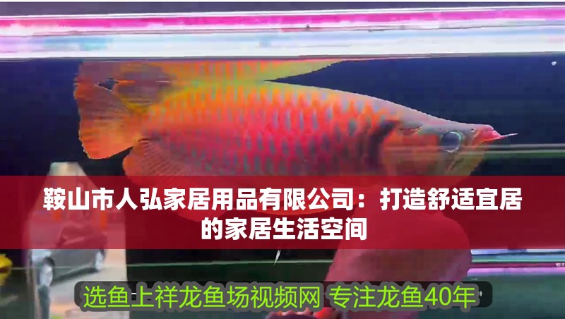 鞍山市人弘家居用品有限公司：打造舒適宜居的家居生活空間