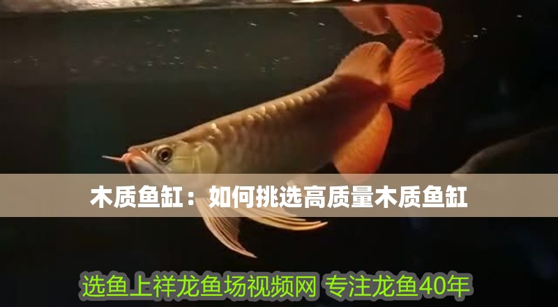 木質(zhì)魚(yú)缸：如何挑選高質(zhì)量木質(zhì)魚(yú)缸