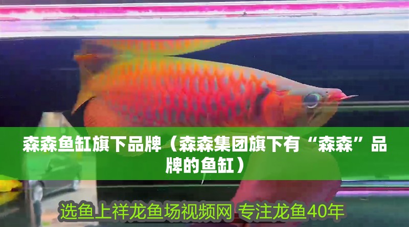 森森魚缸旗下品牌（森森集團旗下有“森森”品牌的魚缸）