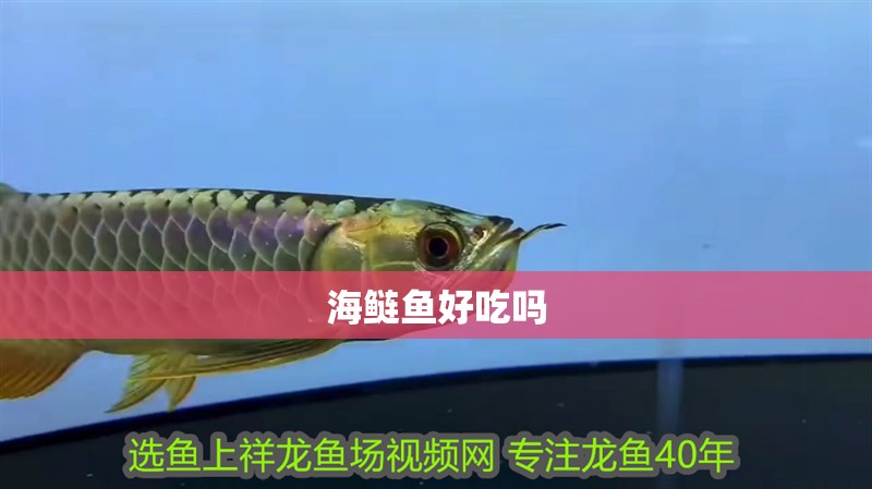 海鰱魚好吃嗎