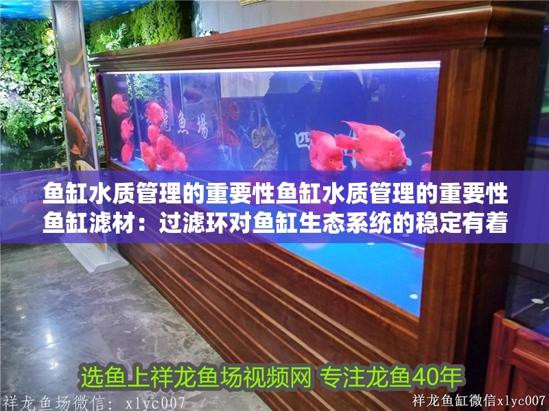 魚缸水質管理的重要性魚缸水質管理的重要性魚缸濾材：過濾環對魚缸生態系統的穩定有著重要影響