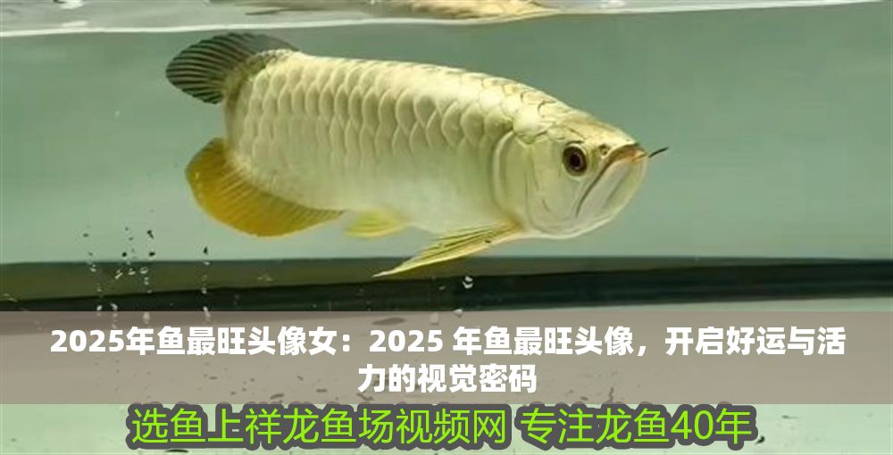 2025年魚最旺頭像女：2025 年魚最旺頭像，開啟好運與活力的視覺密碼