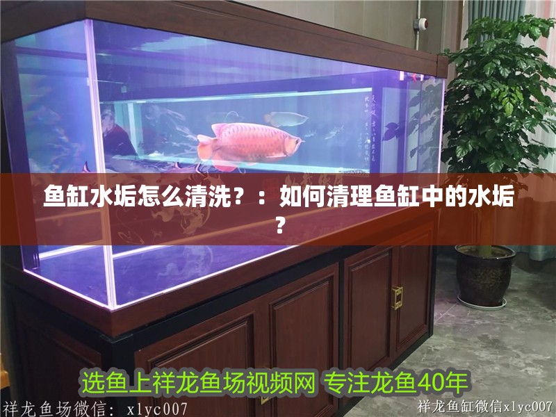 魚缸水垢怎么清洗？：如何清理魚缸中的水垢？