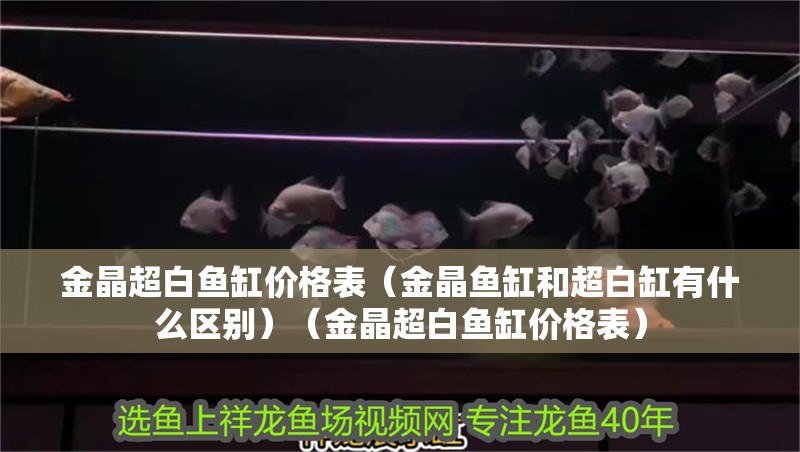 金晶超白魚缸價格表（金晶魚缸和超白缸有什么區(qū)別）（金晶超白魚缸價格表）