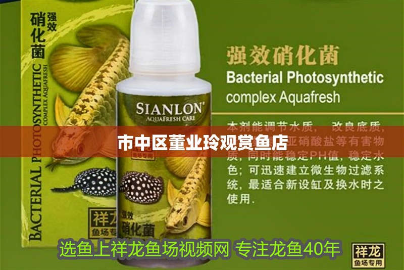 市中區董業玲觀賞魚店