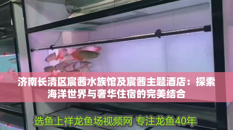 濟南長清區宸茜水族館及宸茜主題酒店：探索海洋世界與奢華住宿的完美結合