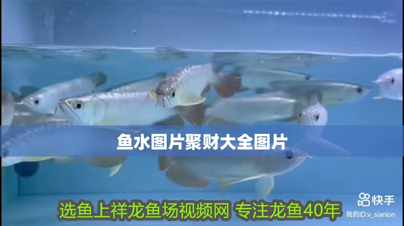 魚水圖片聚財(cái)大全圖片