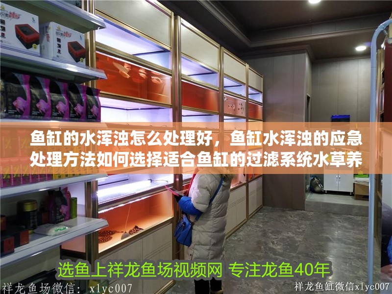 魚缸的水渾濁怎么處理好，魚缸水渾濁的應急處理方法如何選擇適合魚缸的過濾系統(tǒng)水草養(yǎng)護技巧