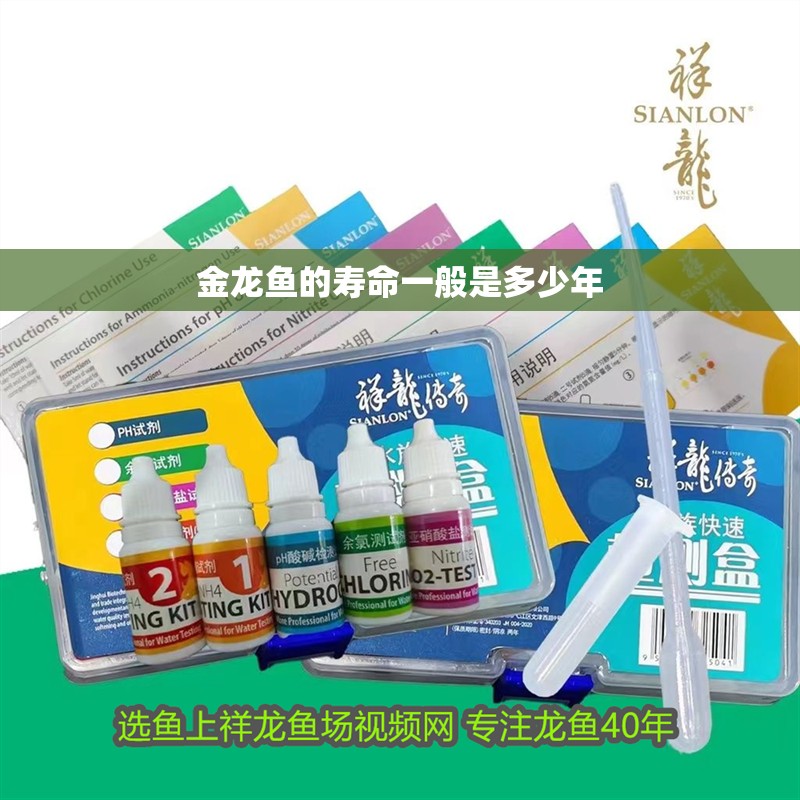 金龍魚的壽命一般是多少年