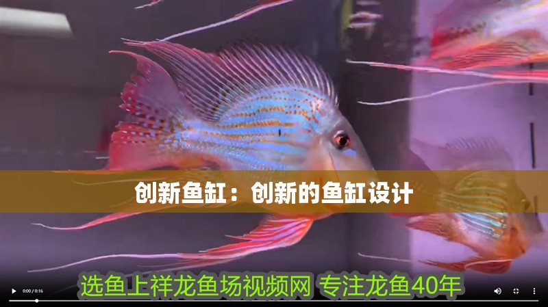 創新魚缸：創新的魚缸設計