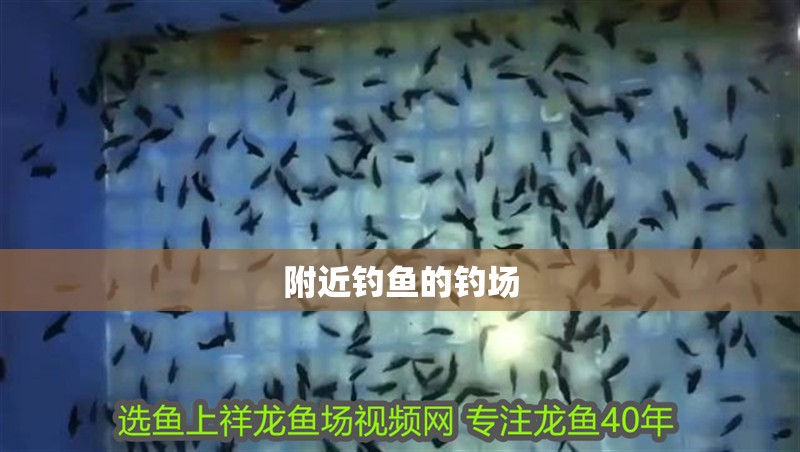 附近釣魚的釣場