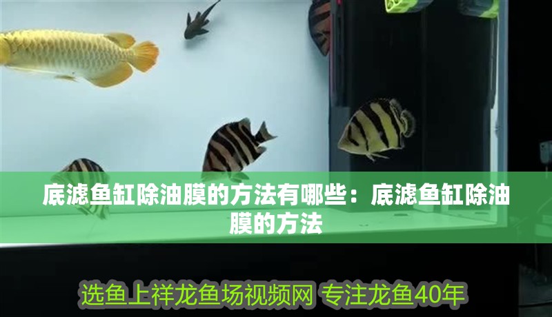 底濾魚缸除油膜的方法有哪些：底濾魚缸除油膜的方法
