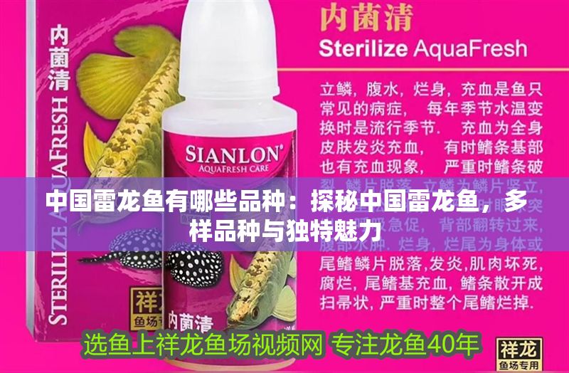 中國雷龍魚有哪些品種：探秘中國雷龍魚，多樣品種與獨特魅力