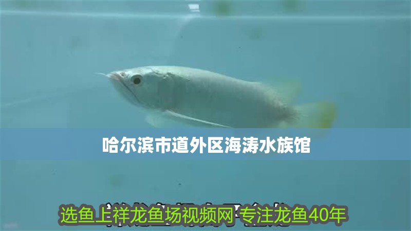 哈爾濱市道外區(qū)海濤水族館