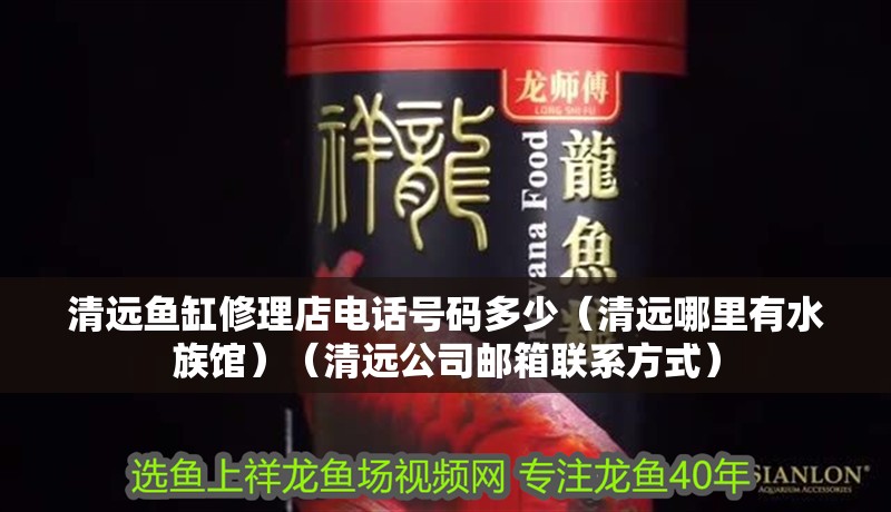 清遠魚缸修理店電話號碼多少（清遠哪里有水族館）（清遠公司郵箱聯系方式）