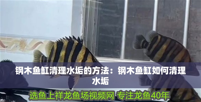 鋼木魚缸清理水垢的方法：鋼木魚缸如何清理水垢